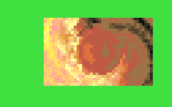 31zw.gif (11647 